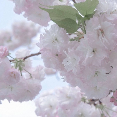 萨尔图FurryQQ群介绍